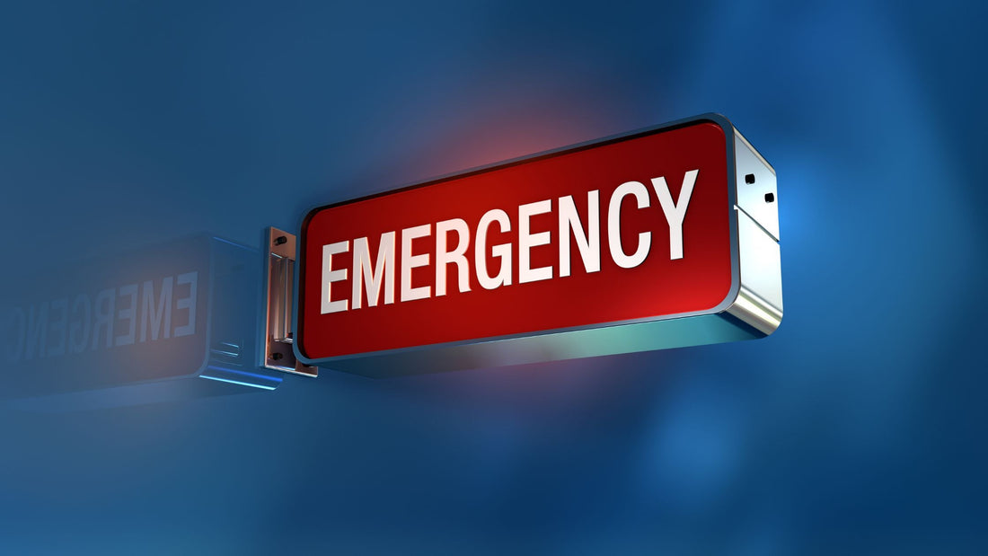 Medical & Emergency Veterinary Care in Singapore