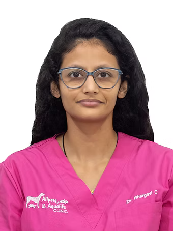 Dr. Bhargavi Chidambaram
