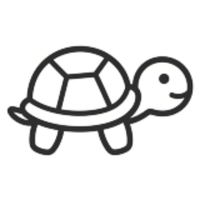 Turtles & Terrapins