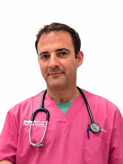 Dr. Stephen Healy